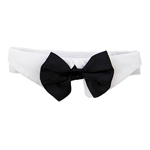 DOGGIE DESIGN Formal Black Dog Bow Tie (XL: Neck 19-23