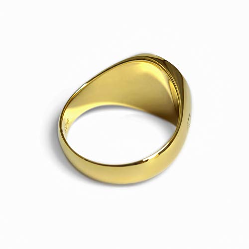 Siegelring 925 Sterling Silber4eckige Mattierte Fläche 16x15mm