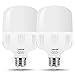 LOHAS Super Bright Light Bulbs, 250-300W Equivalent, 3400LM E26 Garage LED Bulb, 3000K Soft White, 30 Watt High Lumen LED Bulb, w/E39 Adapter for Commercial Warehouse Workshop Factory Backyard, 2 Pack