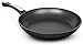 Ozeri Professional Series Induction Fry Pan in Black Onyx, Made in Italy