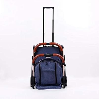 tianrui stroller reviews