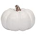 Elanze Designs Classic White 6 inch Resin Harvest Decorative Pumpkin
