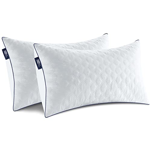 BedStory 2 Pack Standard Size Hotel Collection Pillows, Hypoallergenic