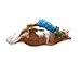 KONG Cat Moppy Kickeroo Catnip Toy (Colors Vary)