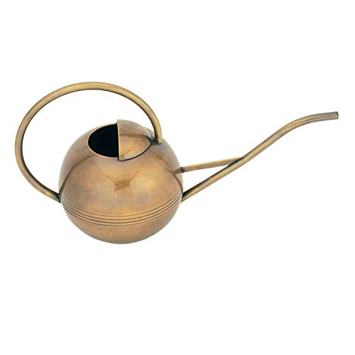 Achla Designs WC-01 Brass Metal Small Watering Can Houseplants â€¦ (3 Units)