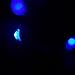 RTGS Products Blue Colored LED Lights Indoor and Outdoor String Lights, Fairy Lights Battery Powered for Patio, Bedroom, Holiday Decor, etc (Blue Color 20 LEDs 7 FEET 5 Sets)
