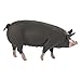 Safari Ltd. Berkshire Pig - Realistic Hand Painted Toy Figurine Model - Quality Construction from Phthalate, Lead and BPA Free Materials - for Ages 3 and Up