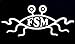 FSM Flying Spaghetti Monster Decal Vinyl Sticker|Cars Trucks Vans Walls Laptop| WHITE |5.5 x 2.5 in|CCI822