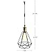 Pauwer Wire Cage Pendant Light Plug in Vintage Pendant Light with On/Off Switch (Black B)