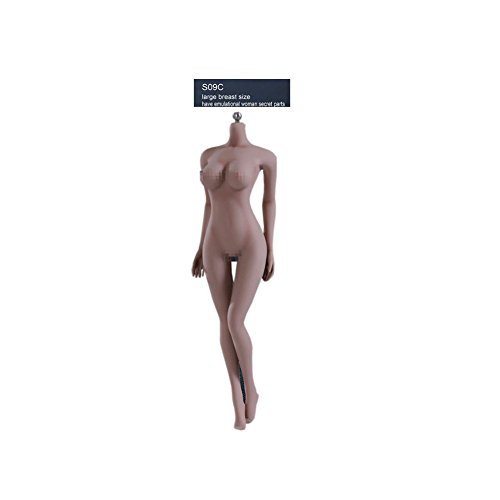 Phicen 1/6 scale super-flexible female seamless body se…