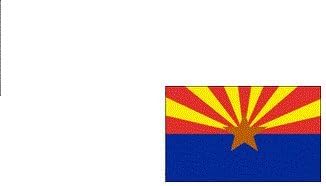 Arizona Replacement Safety Flag for ATV or Bicycle.