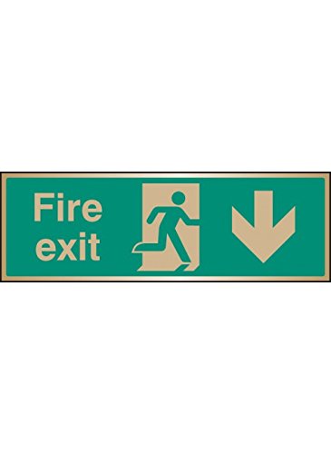Caledonia Signs 59518 Fire Exit Arrow Down Brass Label, 300 mm x 100 mm