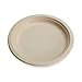 100% Compostable Disposable Paper Plates Bulk [10