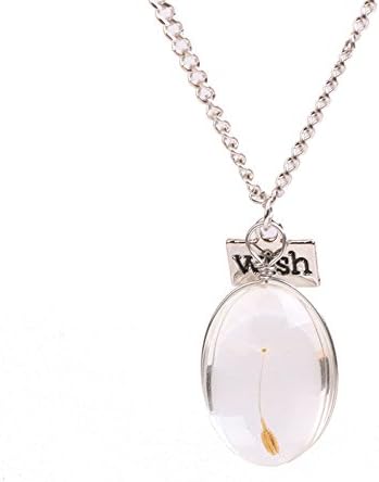 Jinxi Dried Flower Dandelion Seeds Transparent Resin Crystal Pendant Necklace, 23" Link Chain