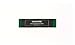 Blackwing Replacement Erasers - 10 Count (Green)