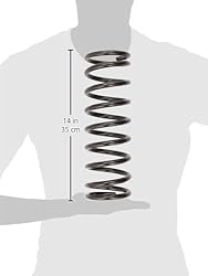 MOOG 81003 Coil Spring Set for Ford Focus