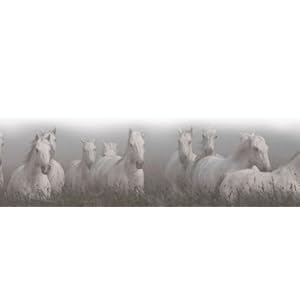 The Majesty of the Horse: An Illustrated History