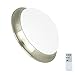 DLLT 24W Dimmable LED Disk Light, Flush Mount Ceiling Light Fixture, Remote Control Surface Mounted Downlight, Brightness Adjustable Round Ceiling Lighting for Bedroom Kitchen Bathroom 11inch