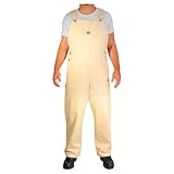 Rugged Blue Painter Bib Overalls
