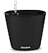 Aquaphoric Self Watering Planter (7”) + Fiber Soil = Foolproof Indoor Home Garden. Modern Decorative Planter Pot for All House Plants, Flowers, Herbs, African Violets, Succulents. Easy / Looks Great.