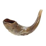 Shofar for Jewish Holiday. Traditional Shofar