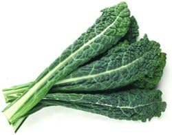 Raunak Seeds Kale Tuscan Imported Leaf Edible 50 Seeds Pack