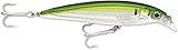 Rapala X-Rap Saltwater 10 SXR10PLD: X-Rap Saltwater 10 Pilchard