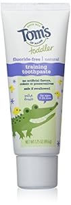 Tom's of Maine Natural Fluoride Free Children's Training Toothpaste, Mild Fruit Flavor, 1.75 Ounce