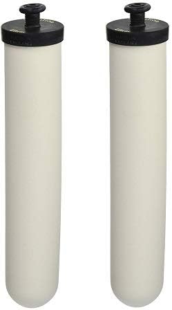 Doulton Ultracarb 10" Water Filter Candle, 2-Pack (W9123053) (2-(Pack))