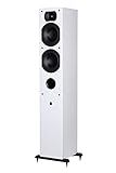 Aperion Audio Intimus 5T