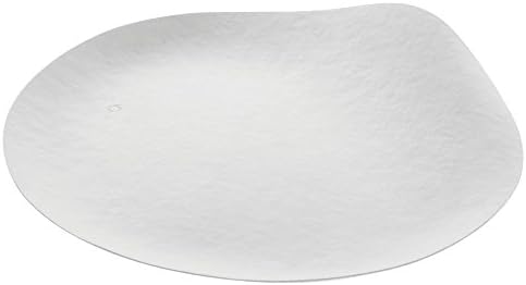 Wasara Natural Round Sugarcane Plate - 8"Dia