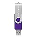 KOOTION 10PCS 4GB USB 2.0 Flash Drive 10 Pack USB Flash Drive Memory Stick Thumb Drive Flash Drives Purple
