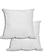 Set of 2 - 16 X 16 Premium Stuffer Pillow Insert Sham Square Form Polyester, Standard / White - Made in USA