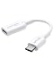 Anker USB-C to Lightning Audio Adapter primary