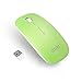 UHURU Wireless Mouse 2.4G Silent Rechargeable and Portable Mouse with 3 DPI for Notebook, Pc, MAC, Laptop, Computer - New & Improved Version (Green)