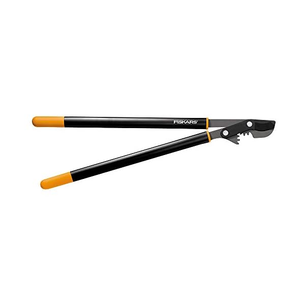 Fiskars 81,3 cm PowerGear Bypass-Astschere