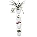 GAQUNH Ceramics Plant Hanger Indoor Pot Wall Art Outdoor Hanging Plant Holder Hanging Planter Stand Flower Pots for Decorations Great for Succulent Plants, Air Plant, Mini Cactus,White，4 Packthumb 1