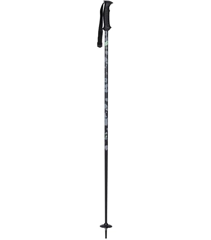 Amazon.com : Backcountry Access Scepter Adjustable 4S, Color