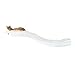 The Refined Feline Lotus Branch Cat Shelf - White