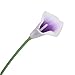 Veryhome 20pcs Lifelike Artificial Calla Lily Flowers Purple for DIY Bridal Wedding Bouquet Centerpieces Home Decor (Purple White)