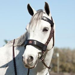 Fly Armor - Browband Insect Repellent