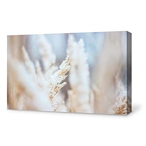 Canvas Wall Art Canvas Abstract Snow Reed Painting Wall Poster Decor for Living Room Framed Home Decorations - 12x18 inches