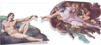 Creation of Adam Card en promo sur Amazon