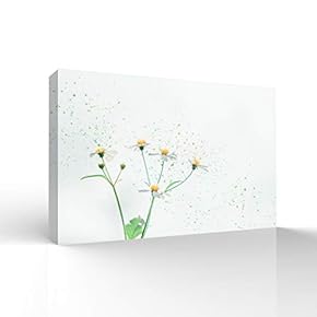 Beautiful Flowers Pictures Home Wall for Bedroom Living...