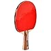 Allprosportz Ping Pong Paddle - Complete ping Pong Paddles Set of 4 - Including 4 Table Tennis Paddles - 8 Premium 3 Star ping Pong Balls - Adjustable net Suit Any ping Pong Table - Storage case