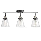 Globe Electric 59629 Jackson 3 Track Lighting, Dark