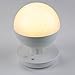 [Upgraded Version] Idealeben Children's LED Bedside Lamp Dimming Touch Night Light / Reading Lights / Camping Lamp (Spherical,White, Warmwhite,Built-in 2200mAh Battery)
