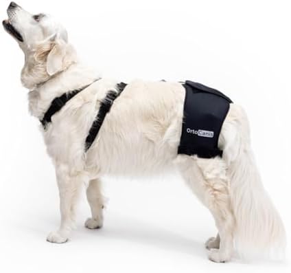 Ortocanis Hip Support for Dogs with Hip Dysplasia or