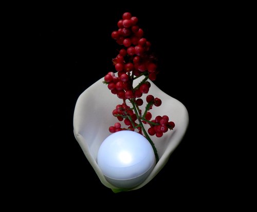 Fortune Products FB-20W Fairy Berries Mama Berry Lights, 1-1/2" Diameter (Case of 12)