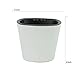 4 inch Self Watering Planter Pots with Succulent Foam Stone Grow a Indoor Window Sill Garden Perfect for Potting Smaller House Plants Herbs Succulents or Start Seedlingsthumb 2